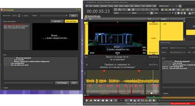 Malay subtitling formats
